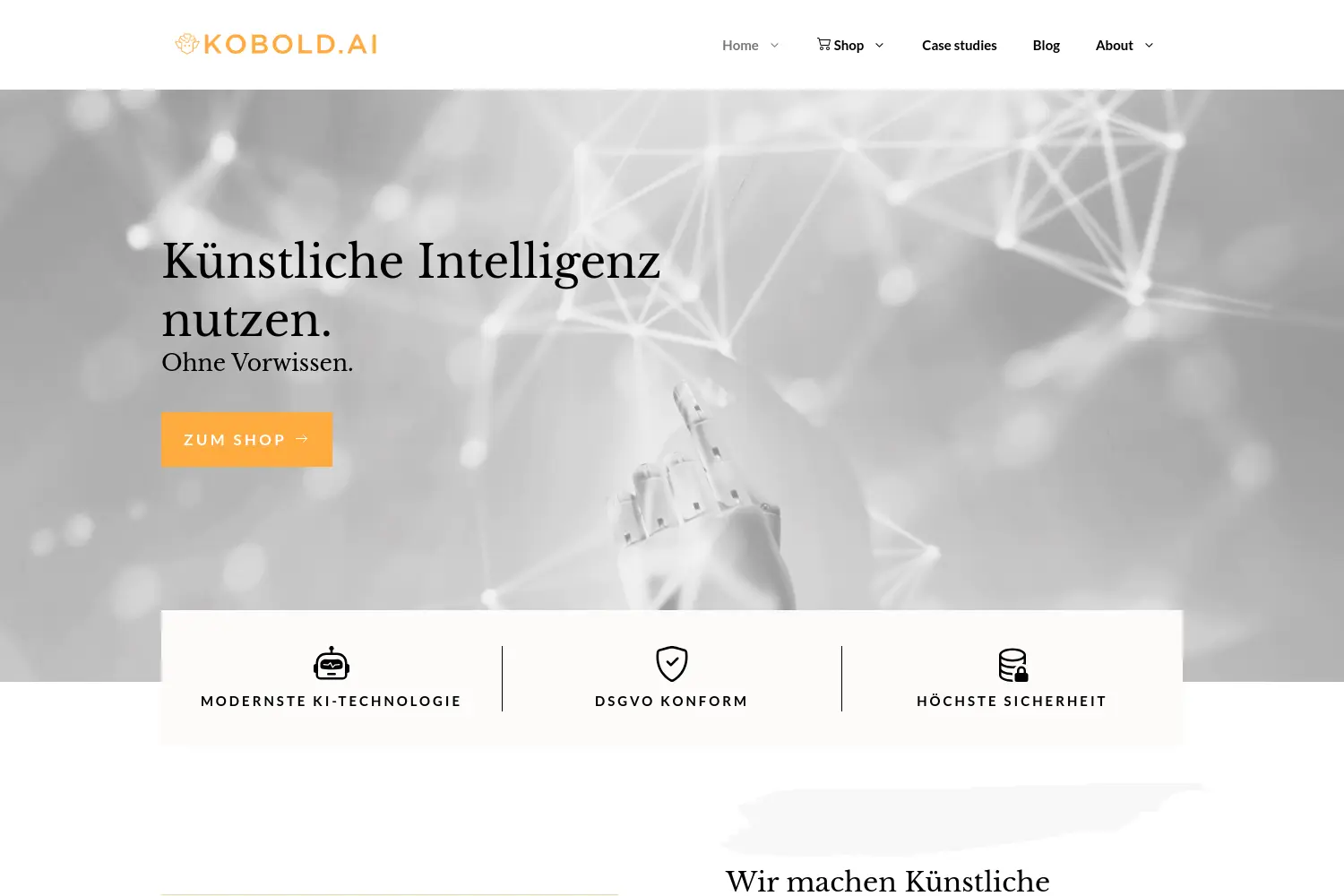 Website der Firma Kobold AI UG
