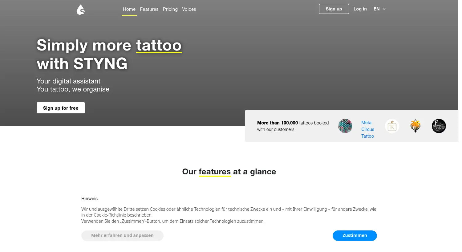 Website der Firma STYNG GmbH