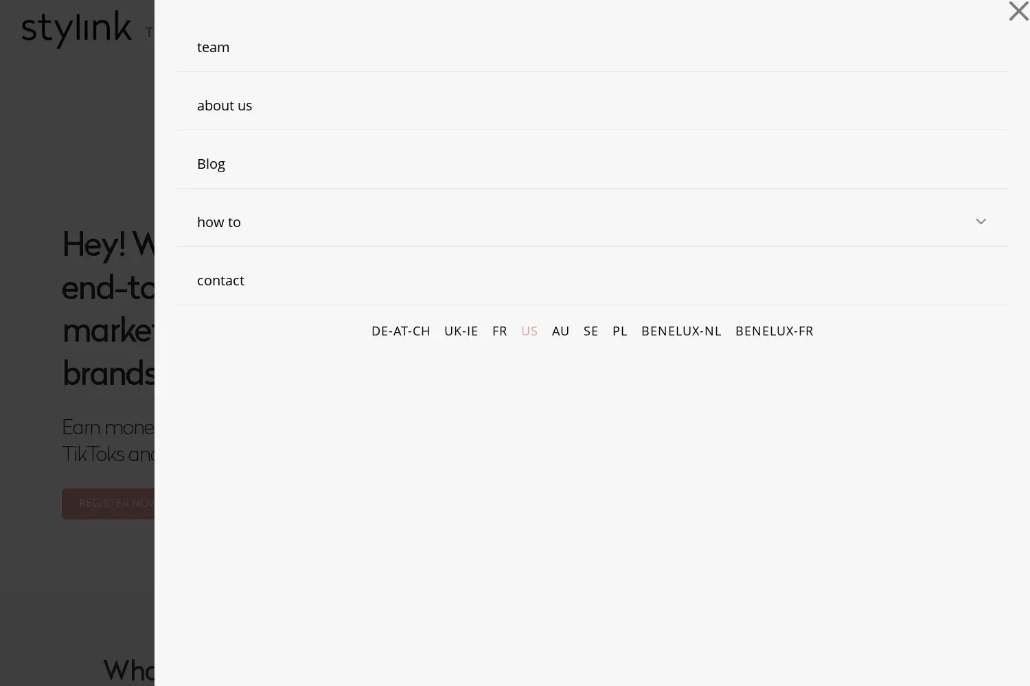 Website der Firma Stylink Social Media GmbH