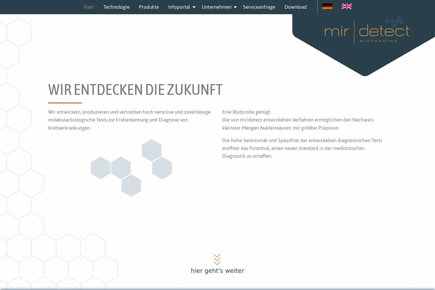 Website der Firma miRdetect GmbH