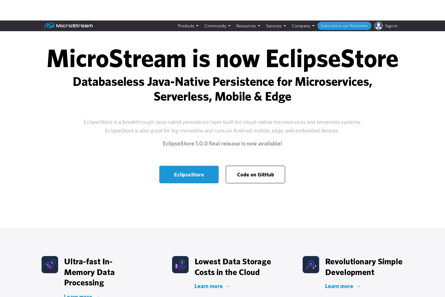 Website der Firma MicroStream Software GmbH