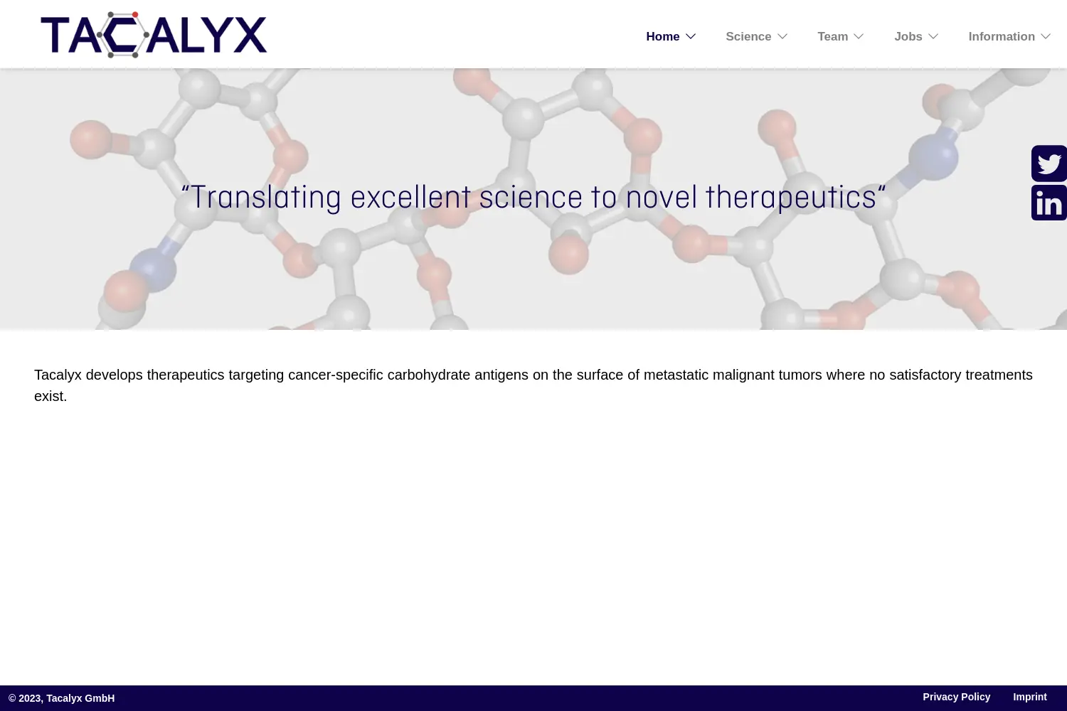 Website der Firma Tacalyx GmbH