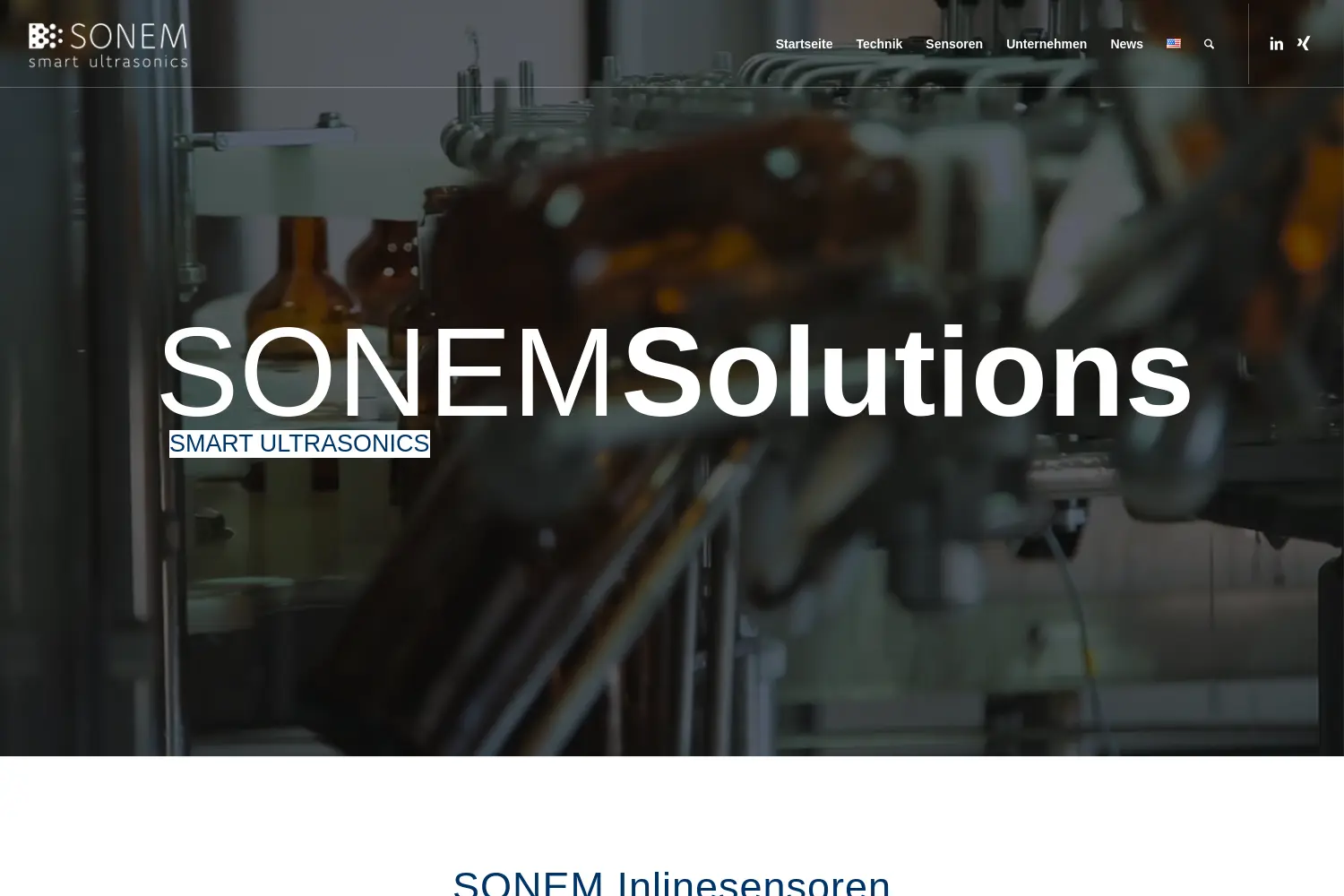 Website der Firma Sonem Solutions GmbH