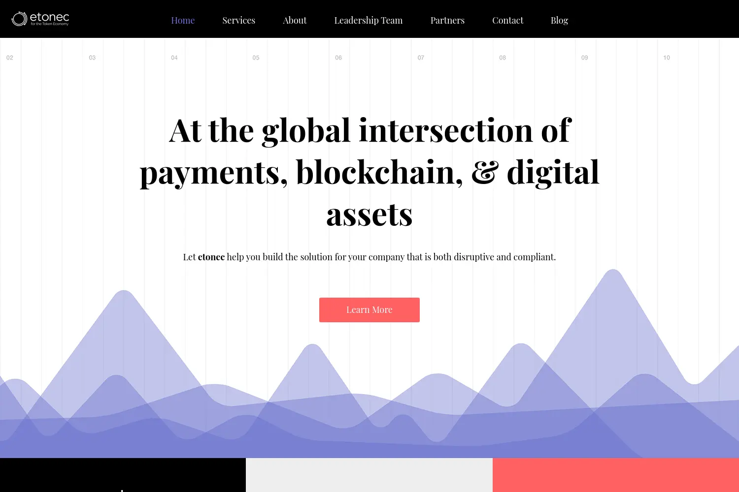 Website der Firma Etonec GmbH