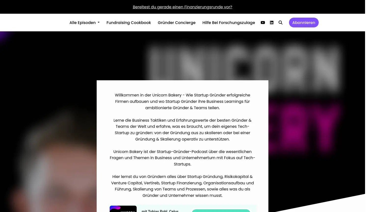 Website der Firma Fabian Tausch