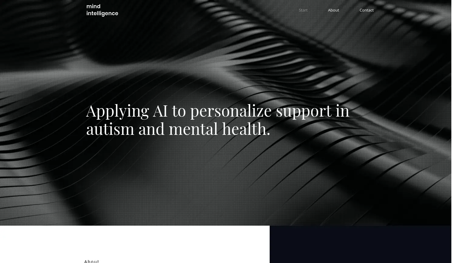 Website der Firma Mind Intelligence UG