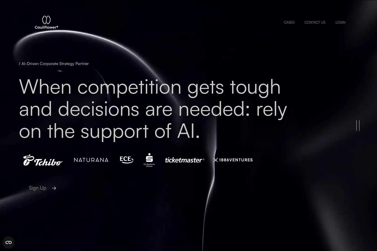 Website der Firma Cauliflower GmbH & Co. KG