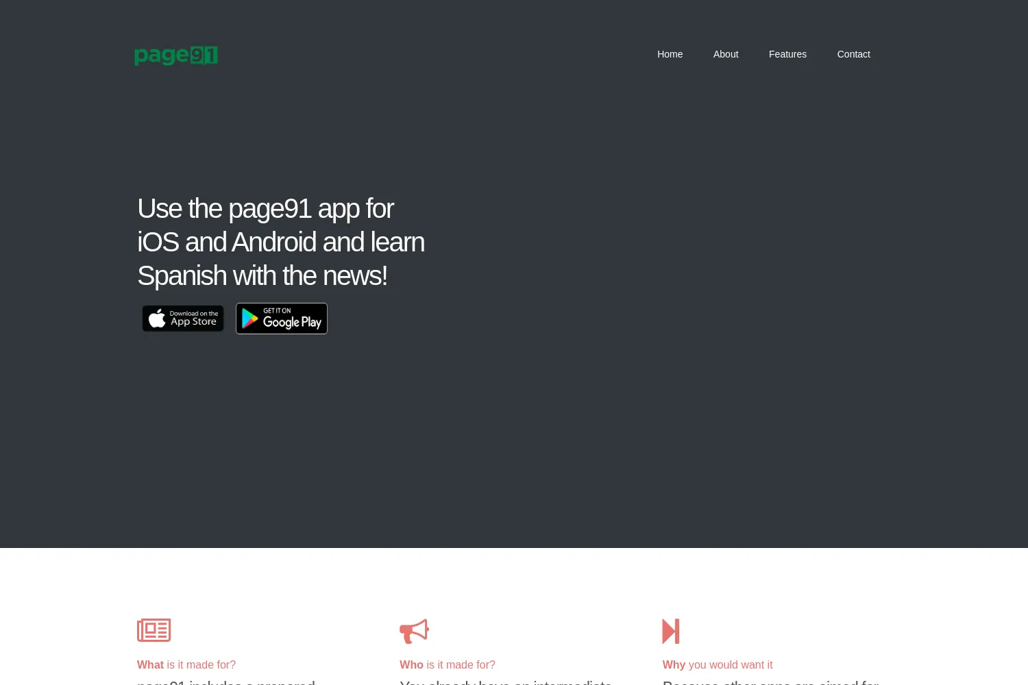 Website der Firma Page91 UG