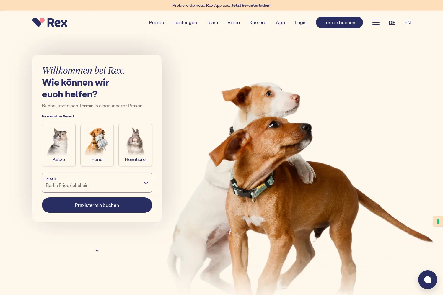 Website der Firma Rex Technologies GmbH
