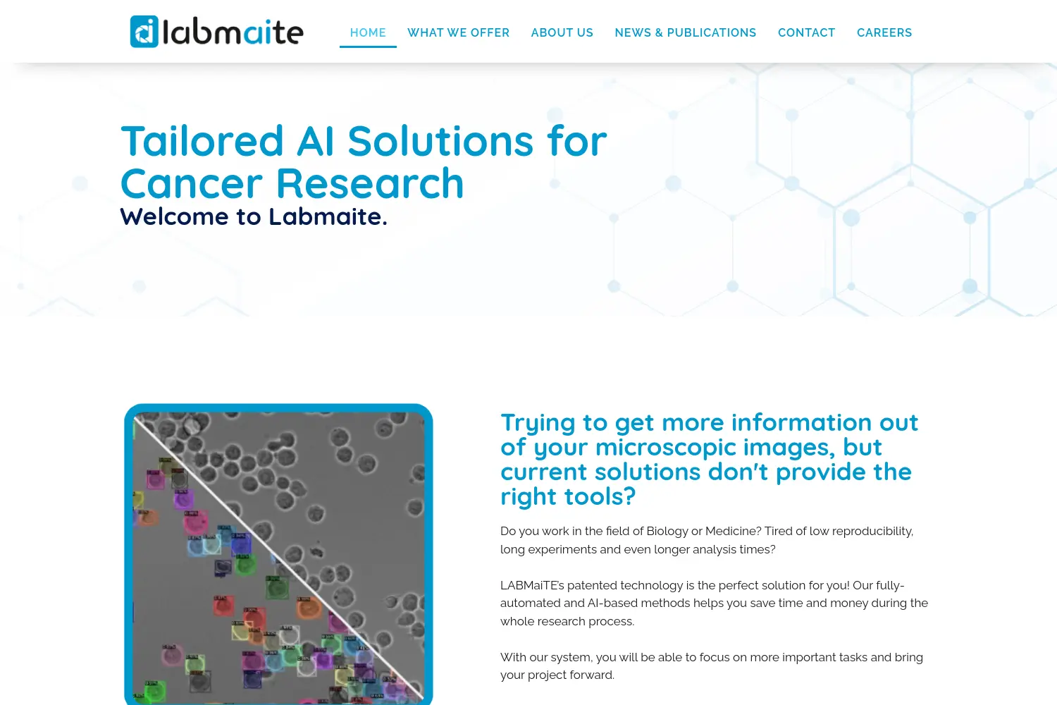 Website der Firma LABMaiTE GmbH