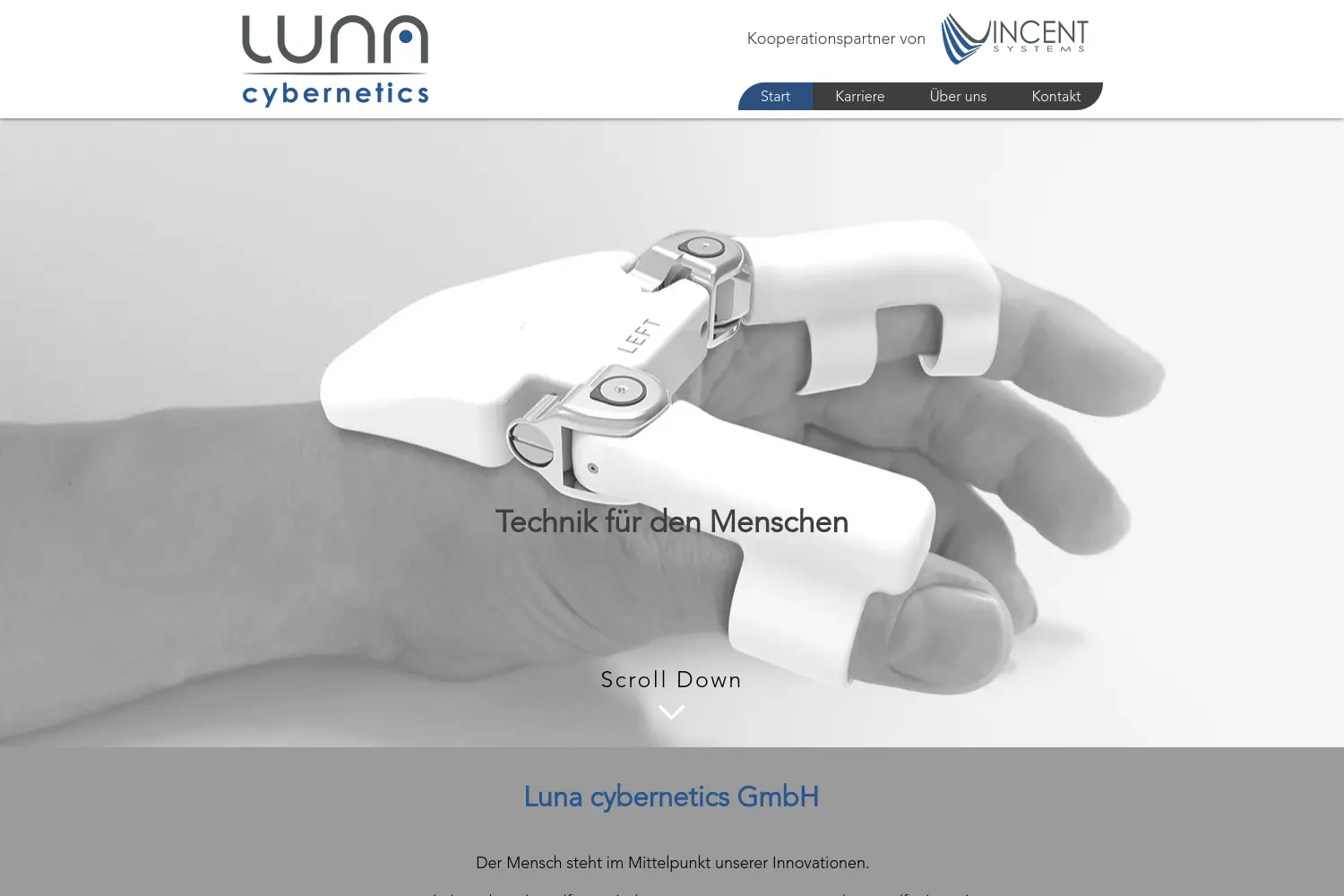 Website der Firma LUNA cybernetics GmbH