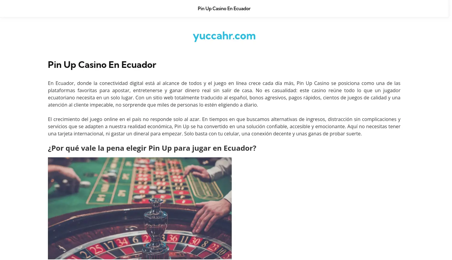 Website der Firma Yucca Technologies GmbH