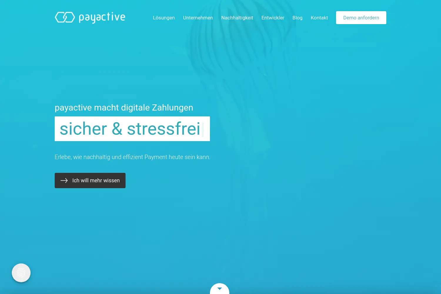 Website der Firma payactive GmbH