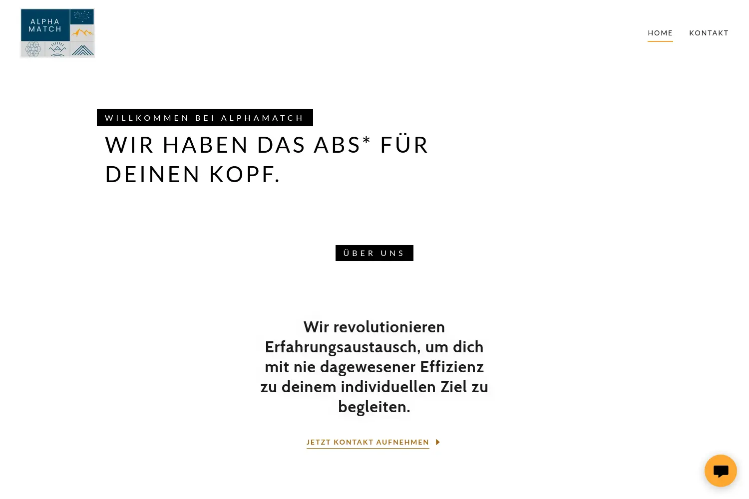 Website der Firma AlphaMatch GmbH