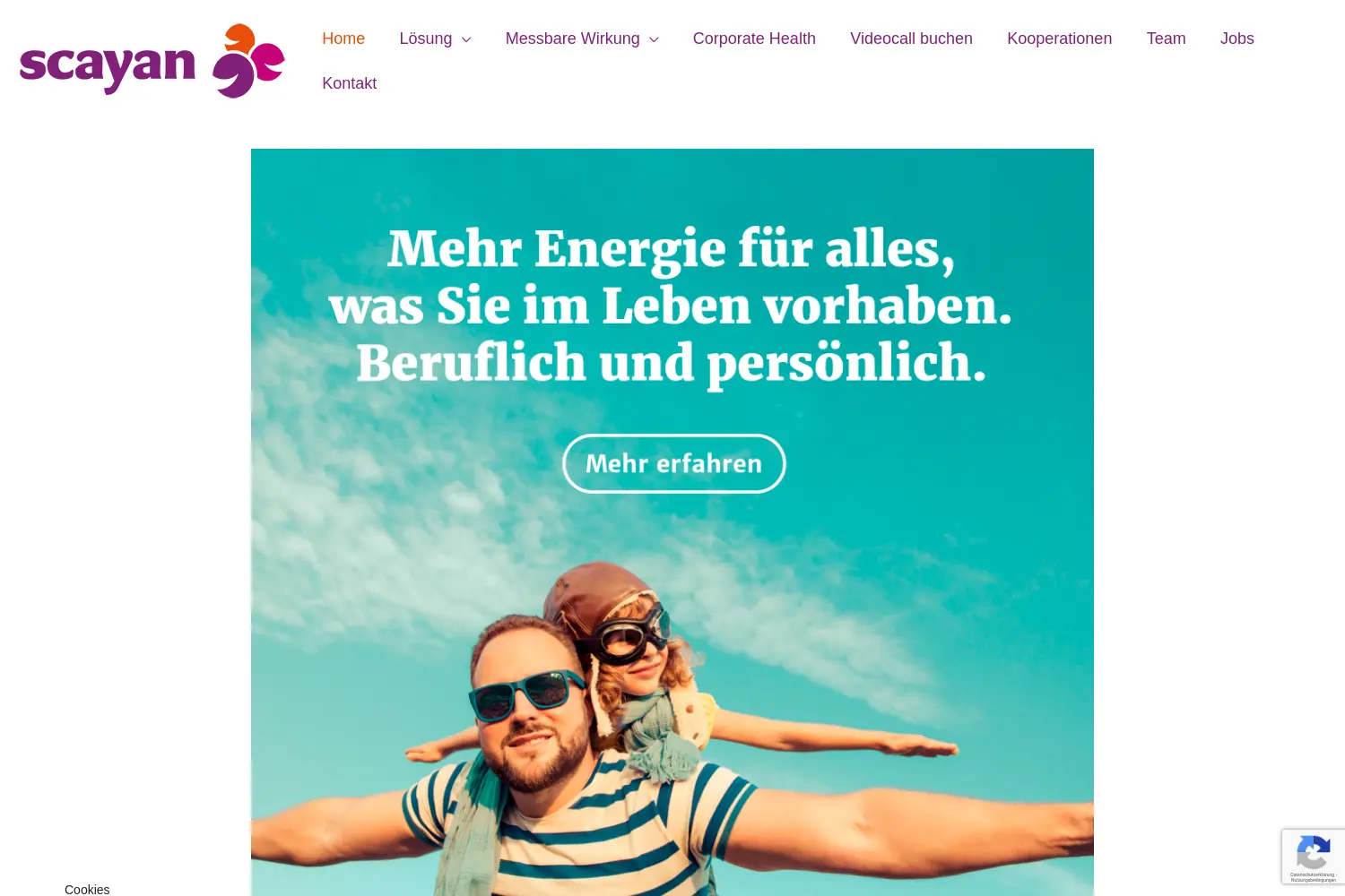 Website der Firma Scayan GmbH