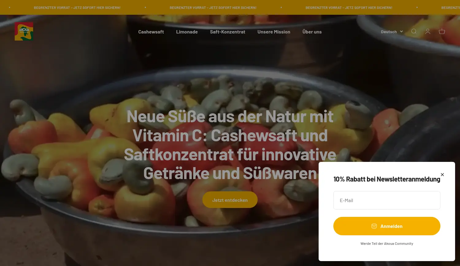 Website der Firma Akoua