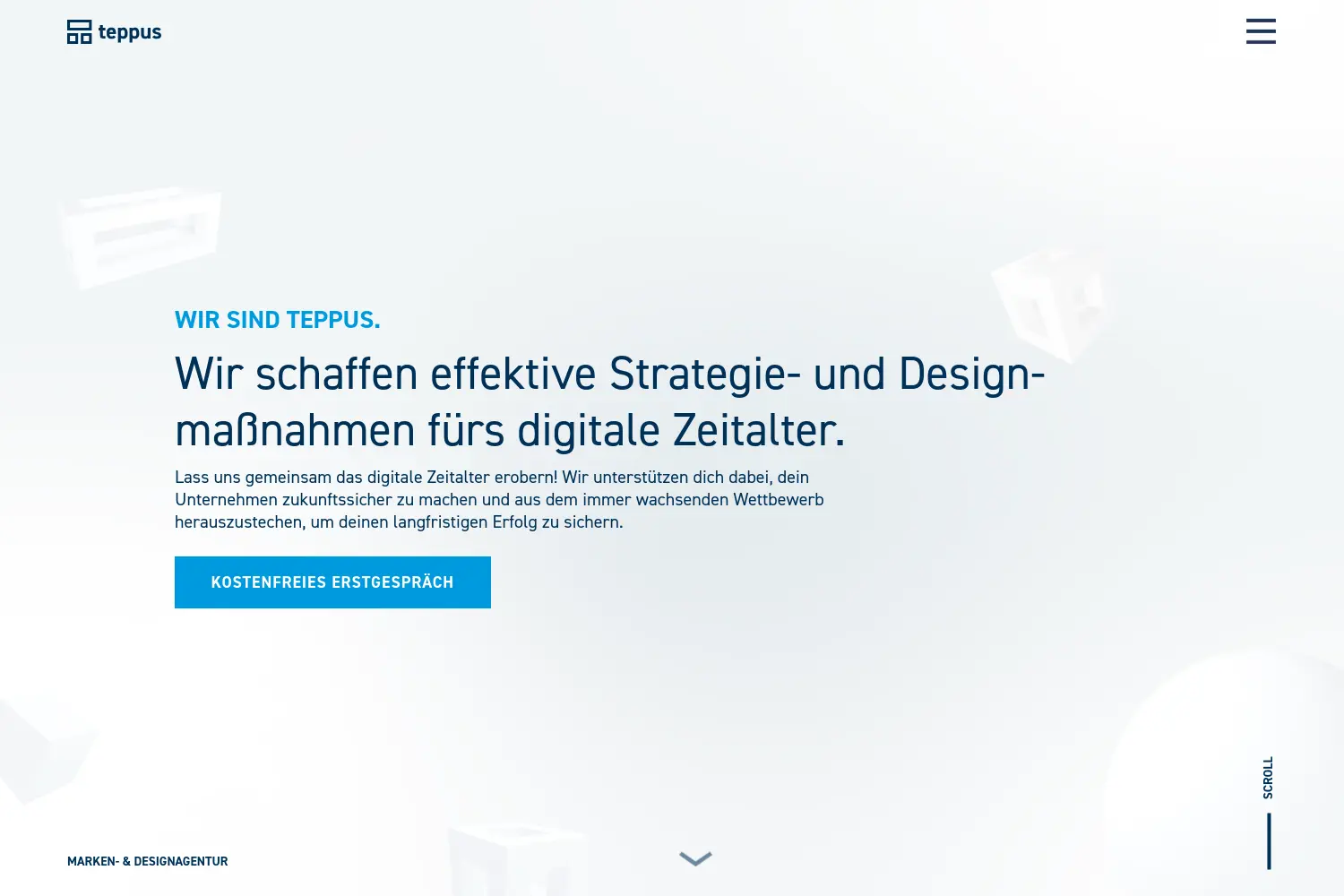 Website der Firma Teppus UG