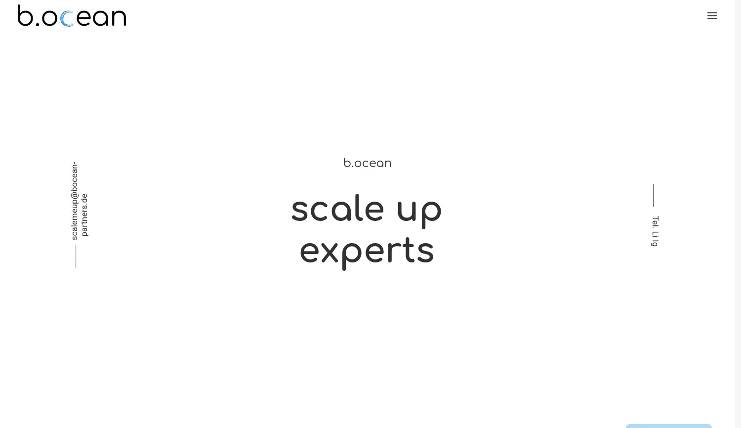 Website der Firma b.ocean – scaleup experts