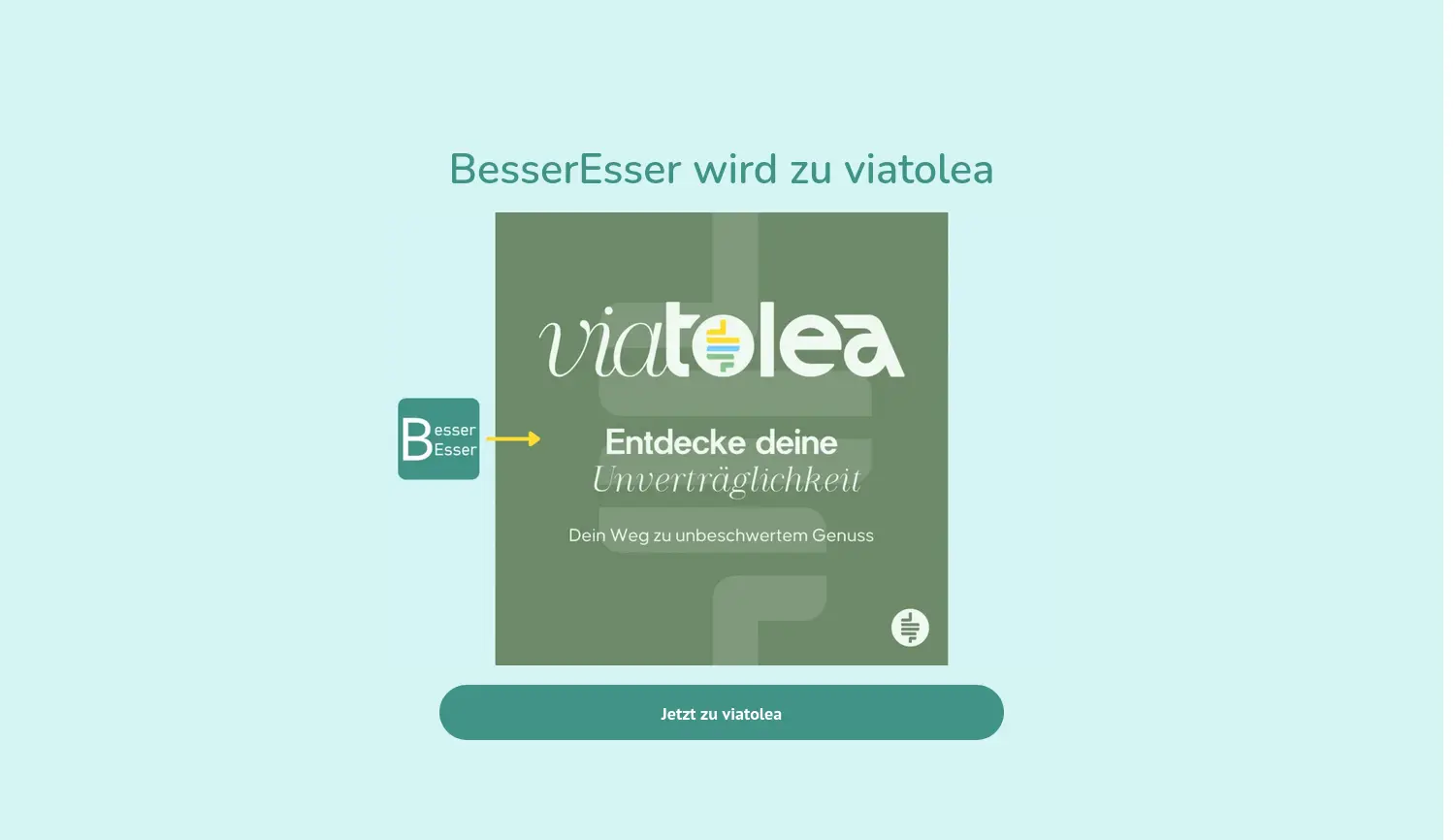 Website der Firma BesserEsser