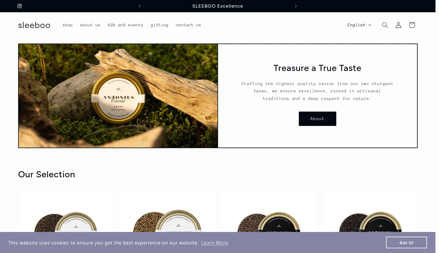 Website der Firma SLEEBOO