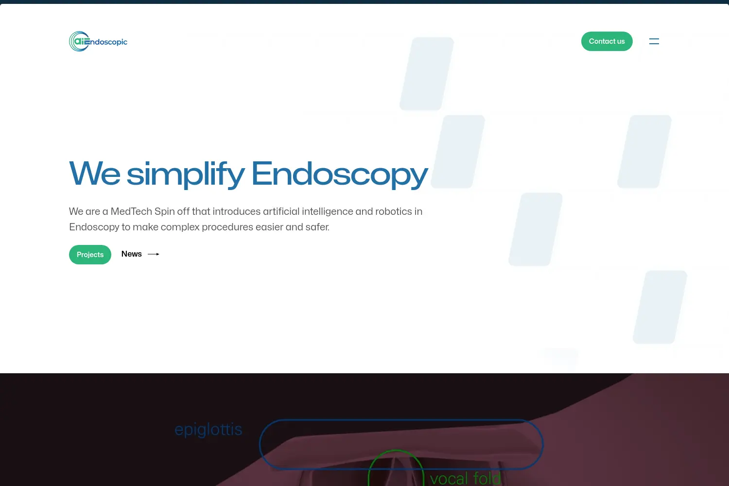 Website der Firma aiEndoscopic