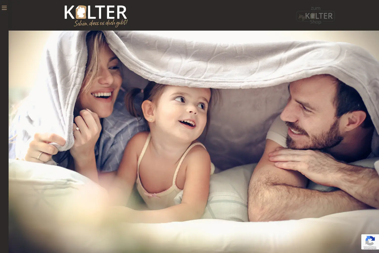 Website der Firma Kolter GmbH