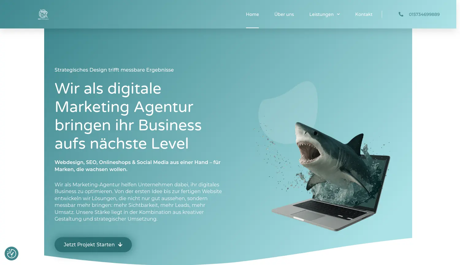 Website der Firma HAI Strategies GmbH