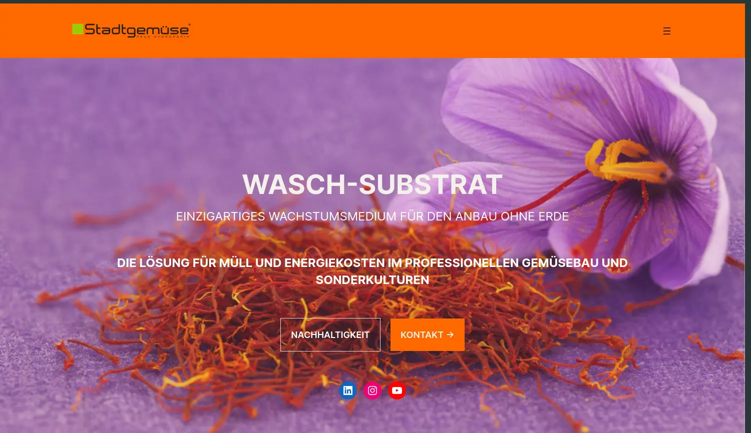 Website der Firma Stadtgemüse UG (haftungsbeschränkt)