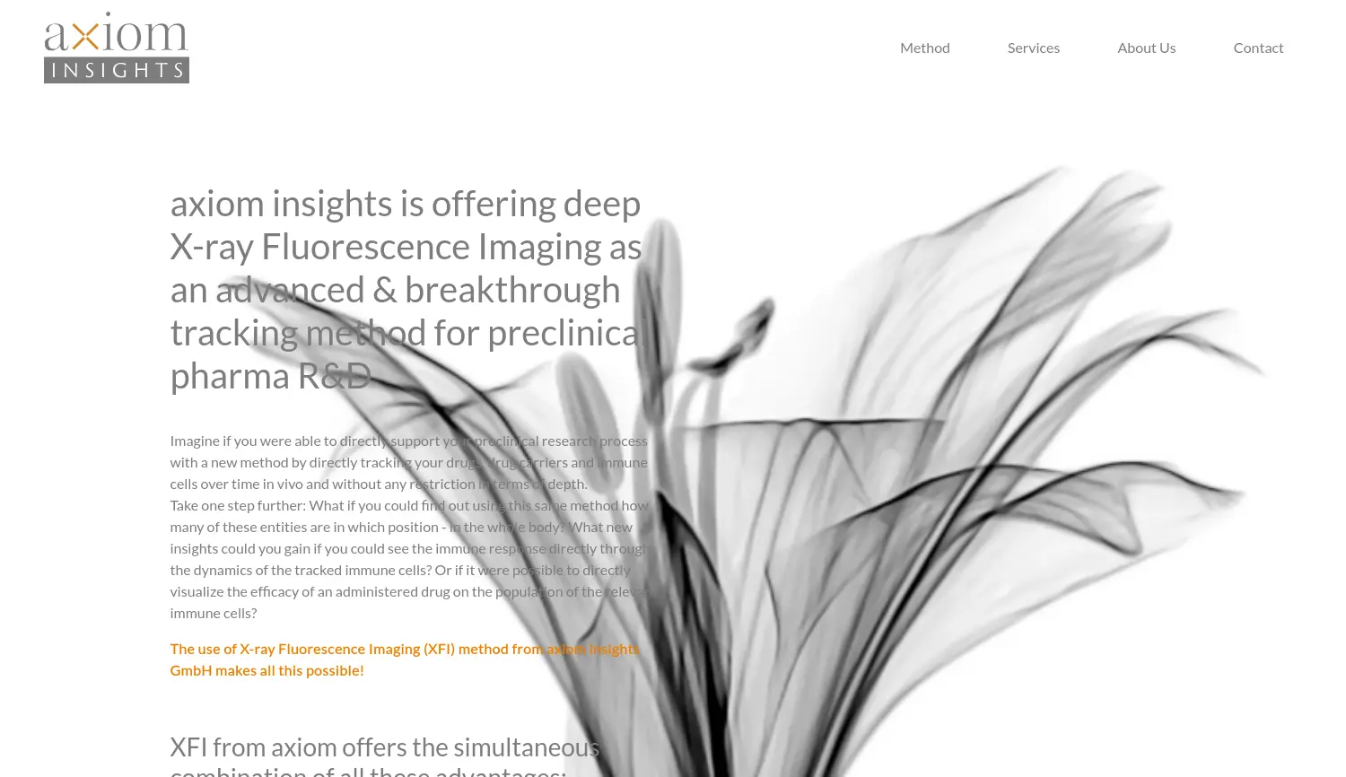 Website der Firma axiom insights GmbH