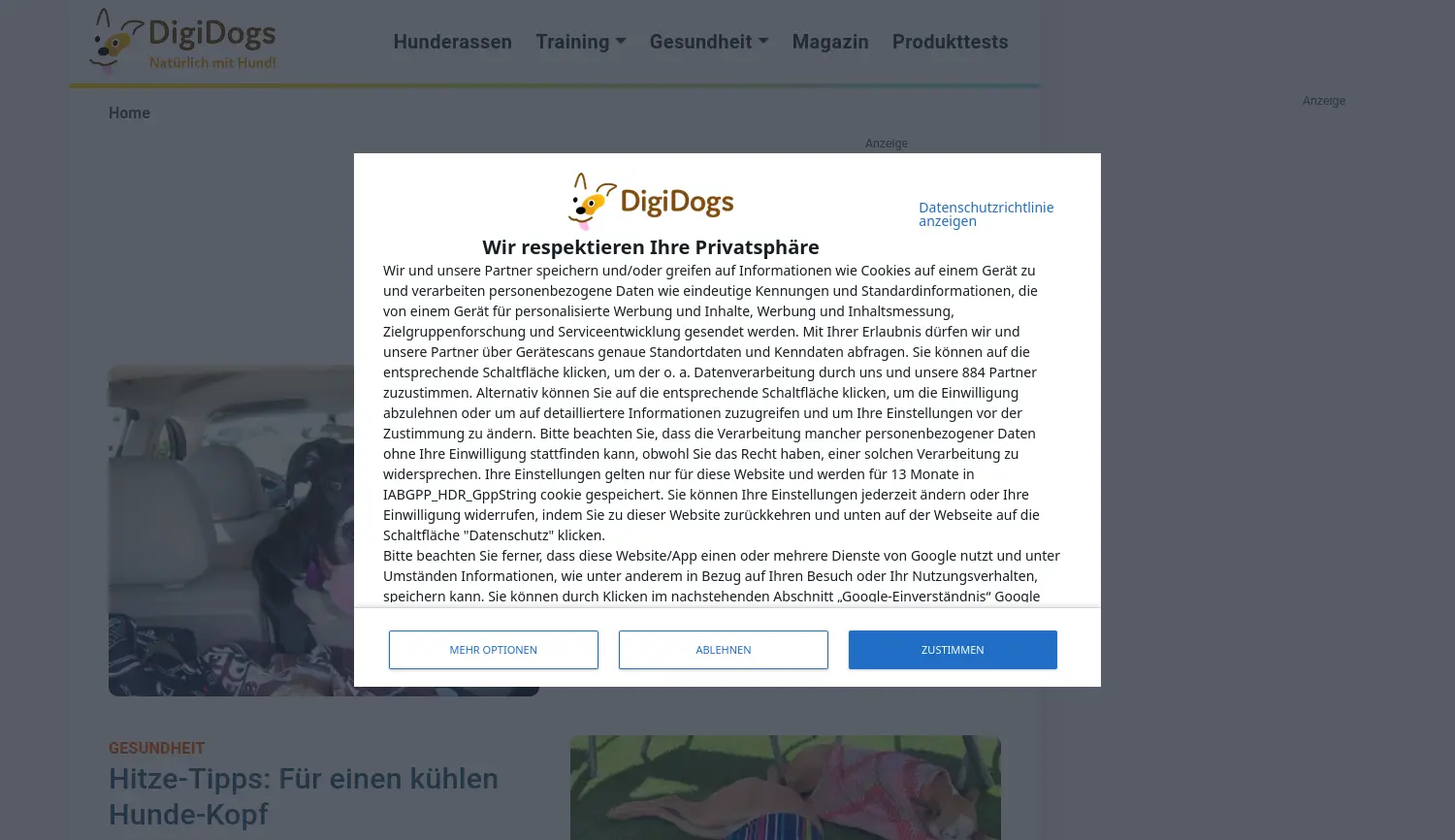 Website der Firma DigiDogs GmbH