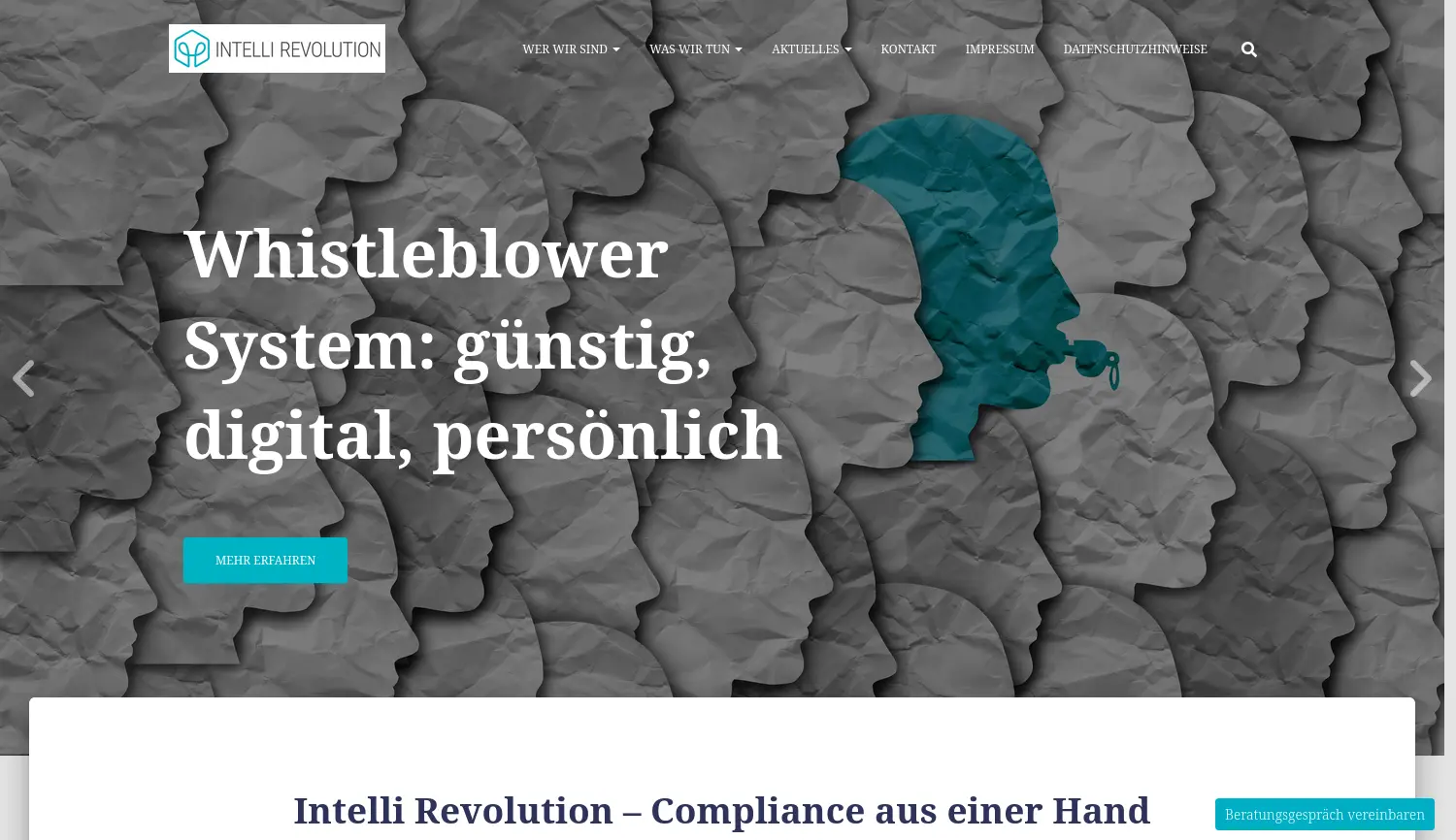 Website der Firma Intelli Revolution GmbH