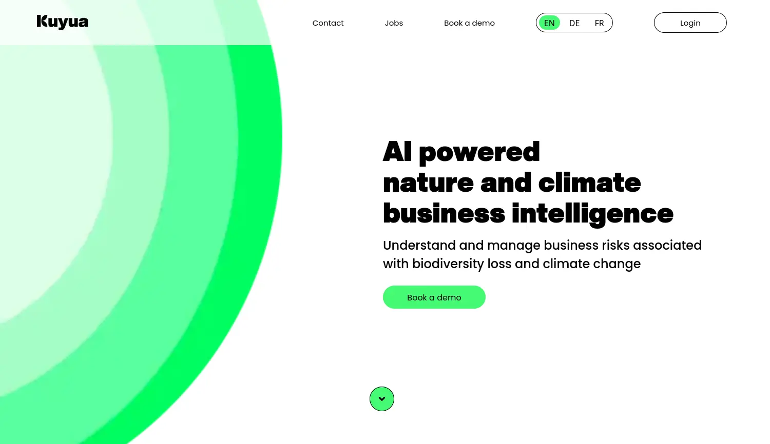 Website der Firma Kuyua GmbH