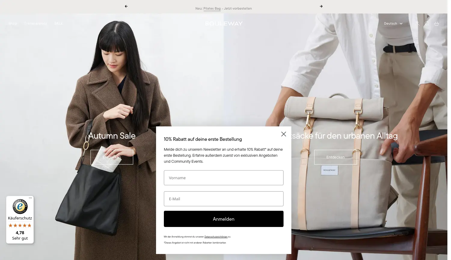 Website der Firma Souleway GmbH