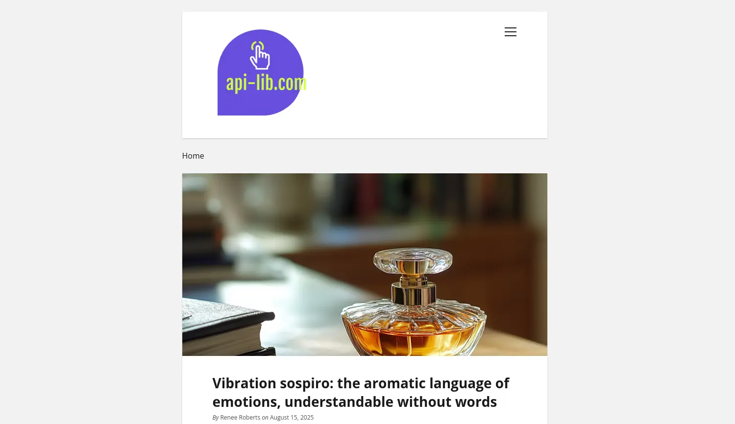 Website der Firma API-Lib GmbH