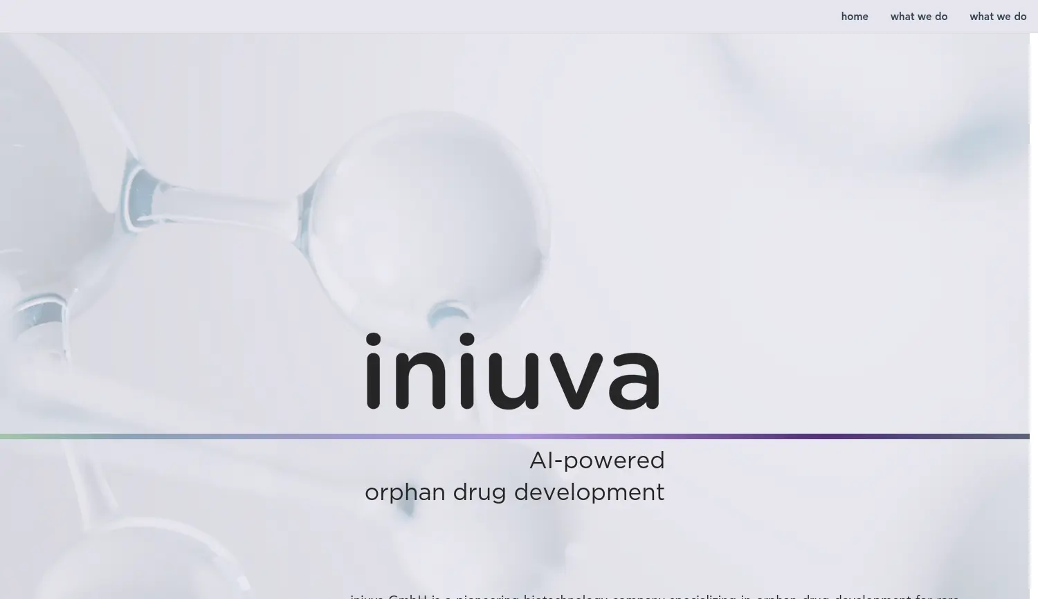 Website der Firma iniuva GmbH